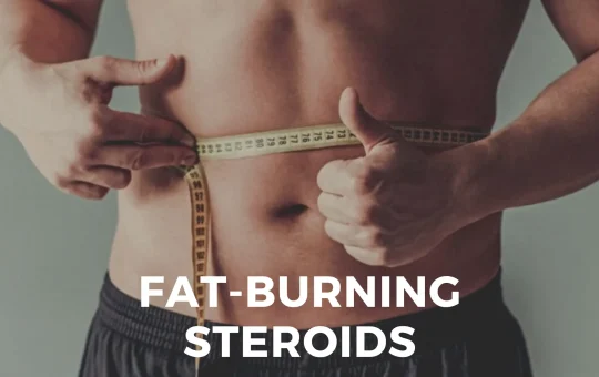 Fat-Burning Steroids
