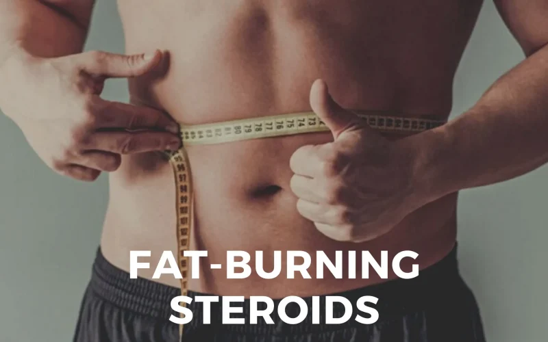 Fat-Burning Steroids