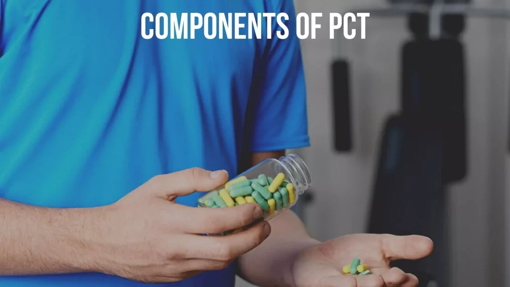 components of pct