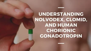Understanding Nolvodex, Clomid, and Human Chorionic Gonadotropin