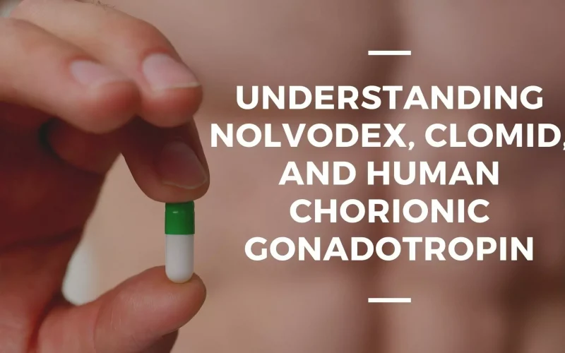 Understanding Nolvodex, Clomid, and Human Chorionic Gonadotropin